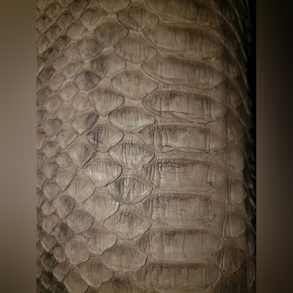 John Anthony Other - John Anthony genuine python snakeskin reptile neutral tan browns hoodie vest L